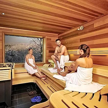 Bastei Hotel 4*