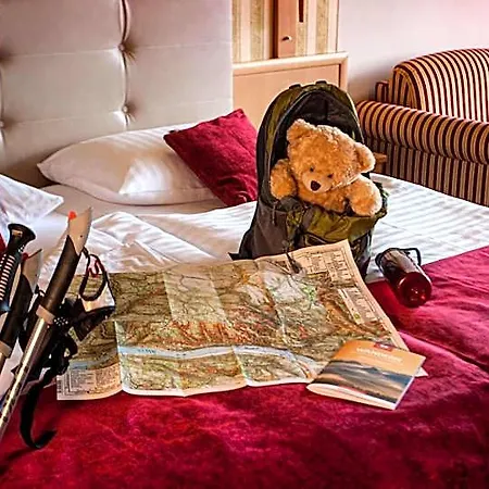Hotel Bastei Lohmen (Saxony)