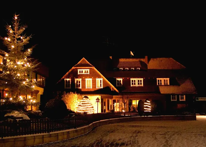 فندق Bastei لوهمين